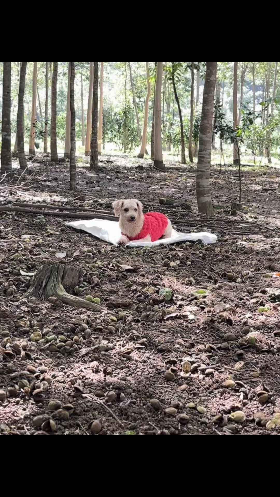 @Lê diễm hồng