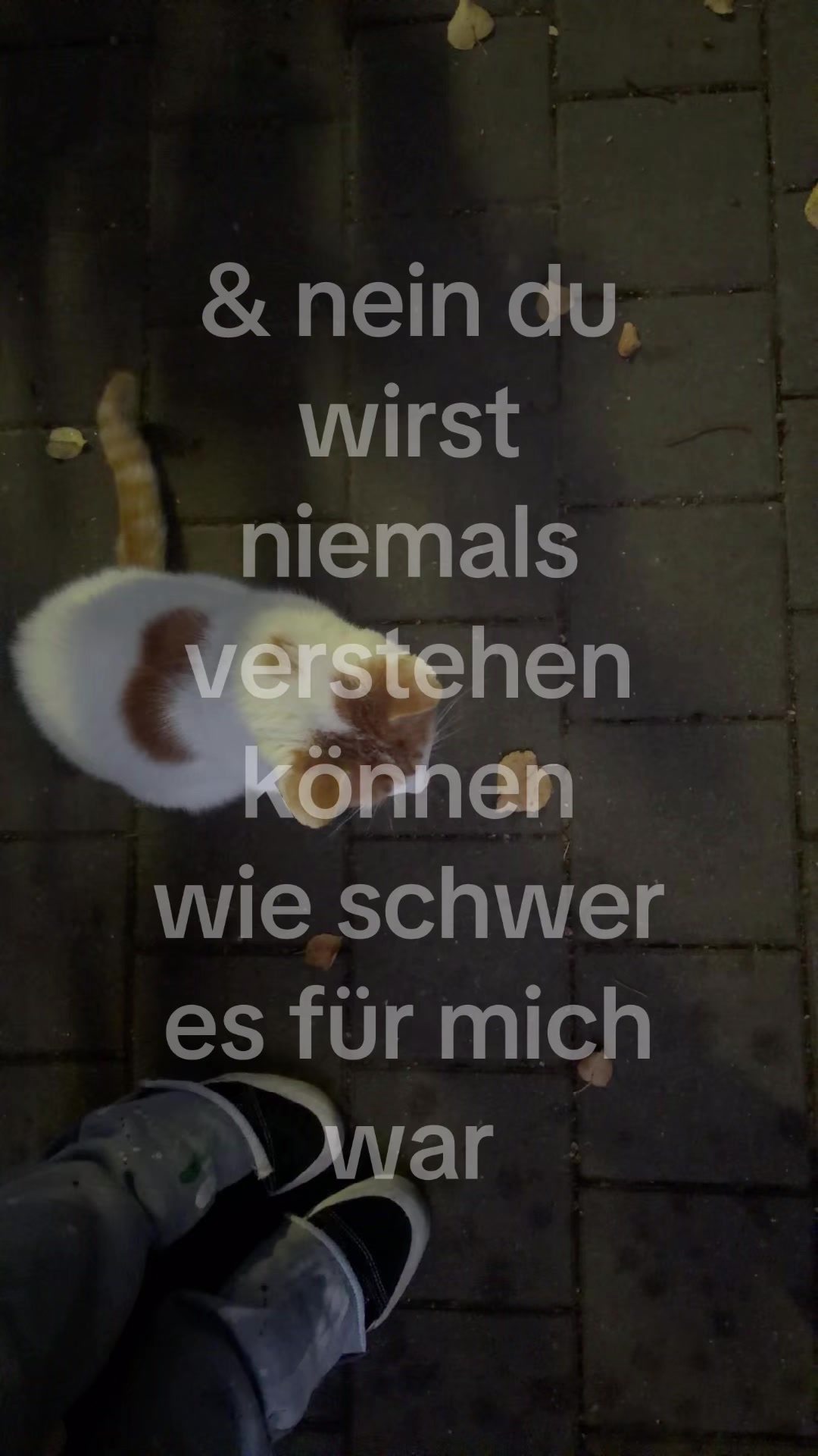 @𝐫𝐞𝐚𝐥'𝐝