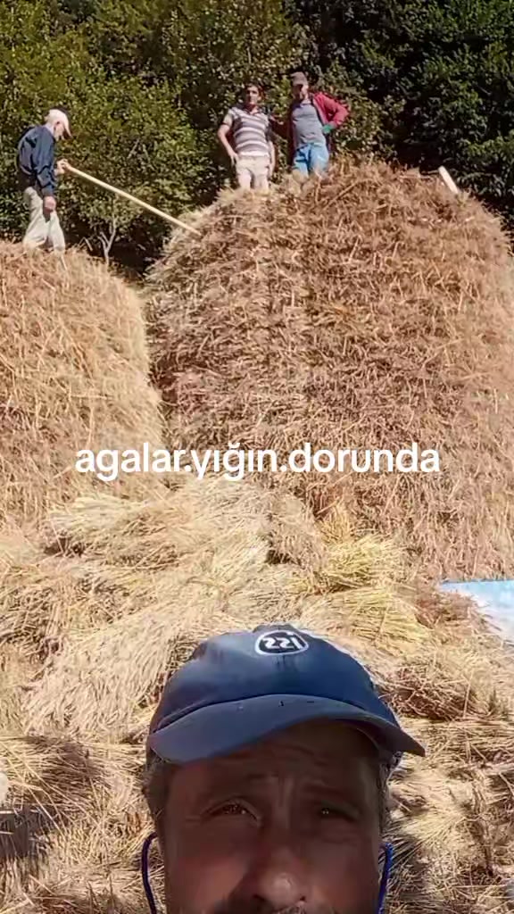 @Barkin Vergili
