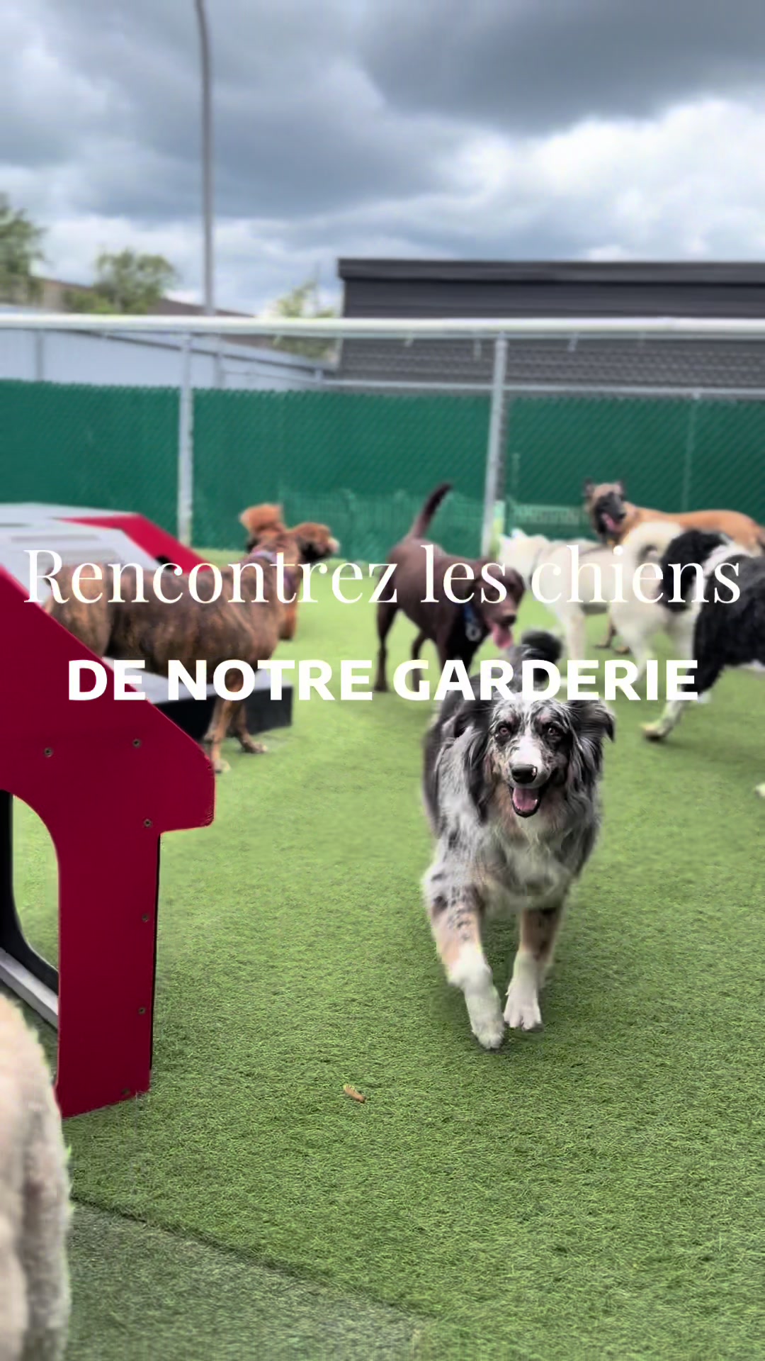 @centrecanindesruisseaux