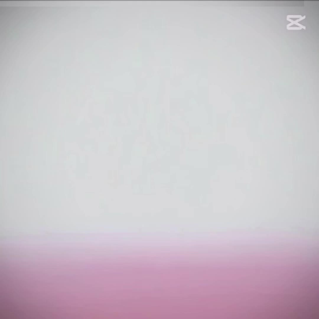 @명월 바라기 포초