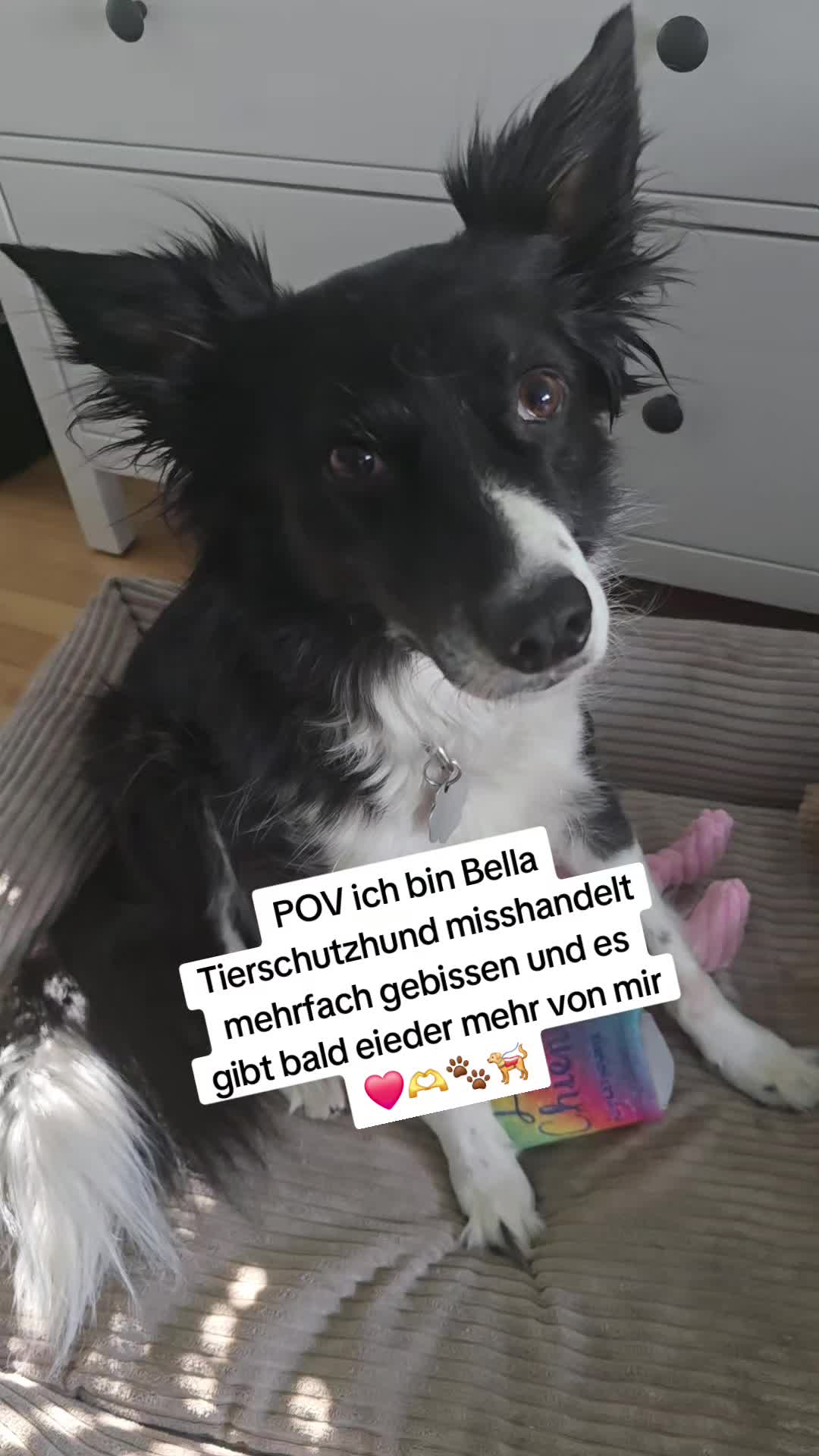 @Tatjana & Bella