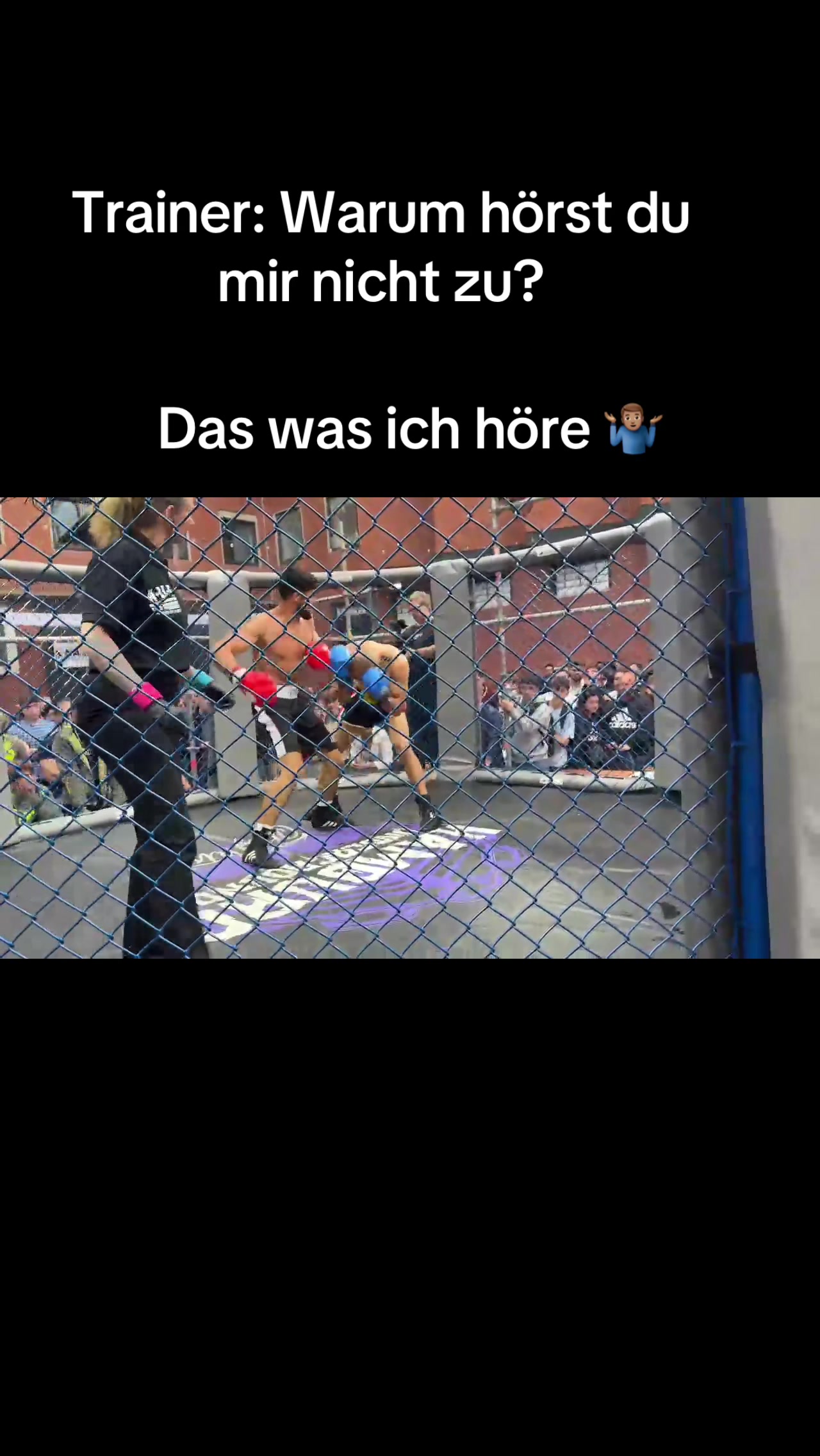 @falah.simoqy