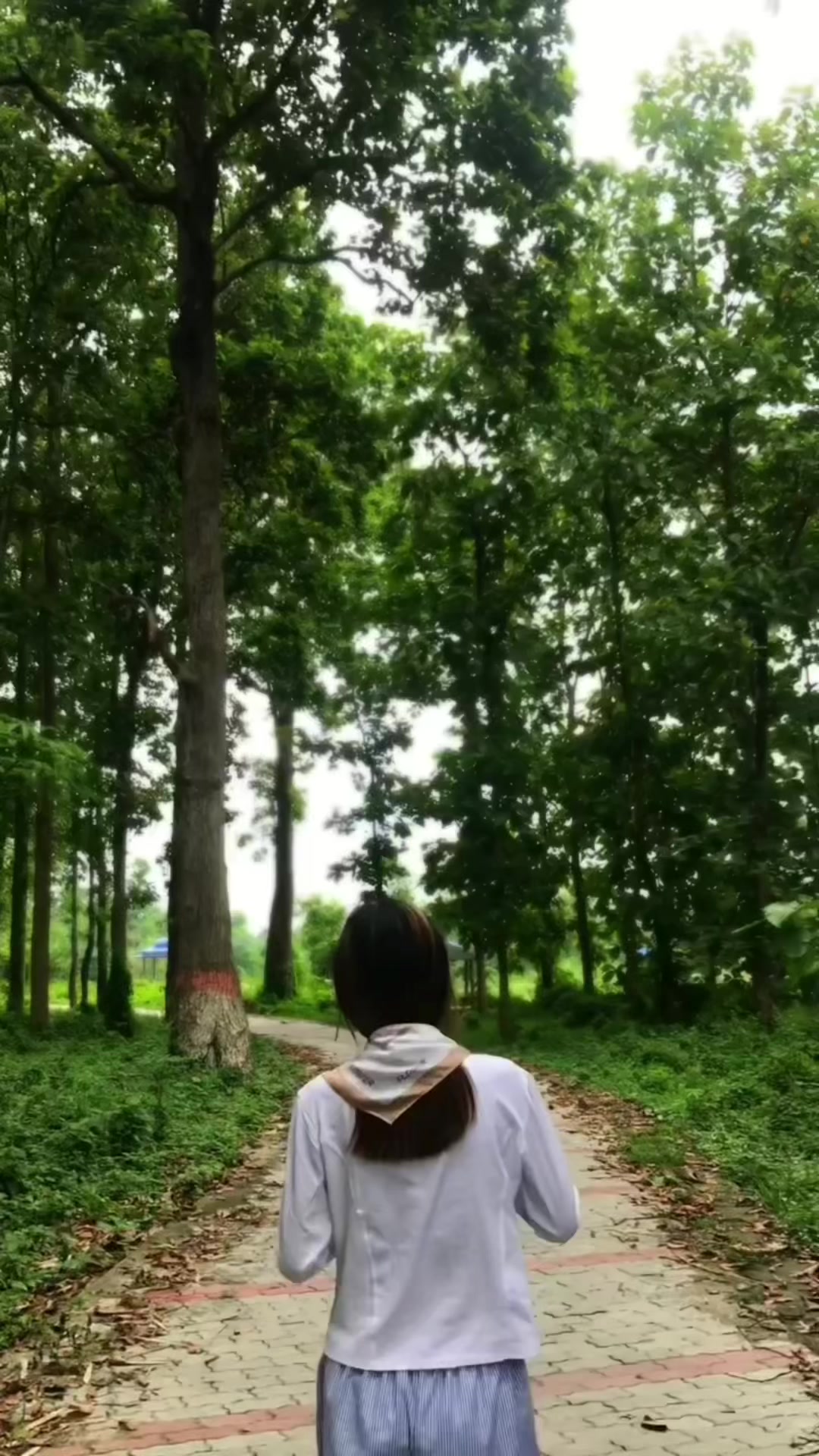 @Mani sHa 🧿