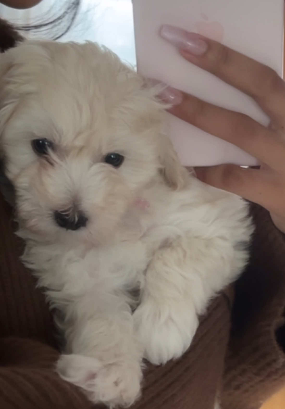 @Afrinha