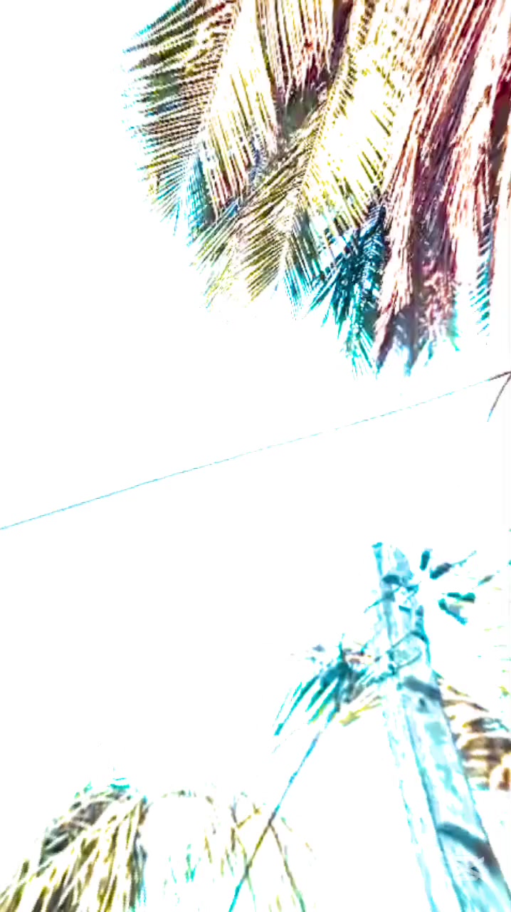@๐ ๐ฅ ๐ ๐ ๐ฎ _๐ผ ๐
๐โก