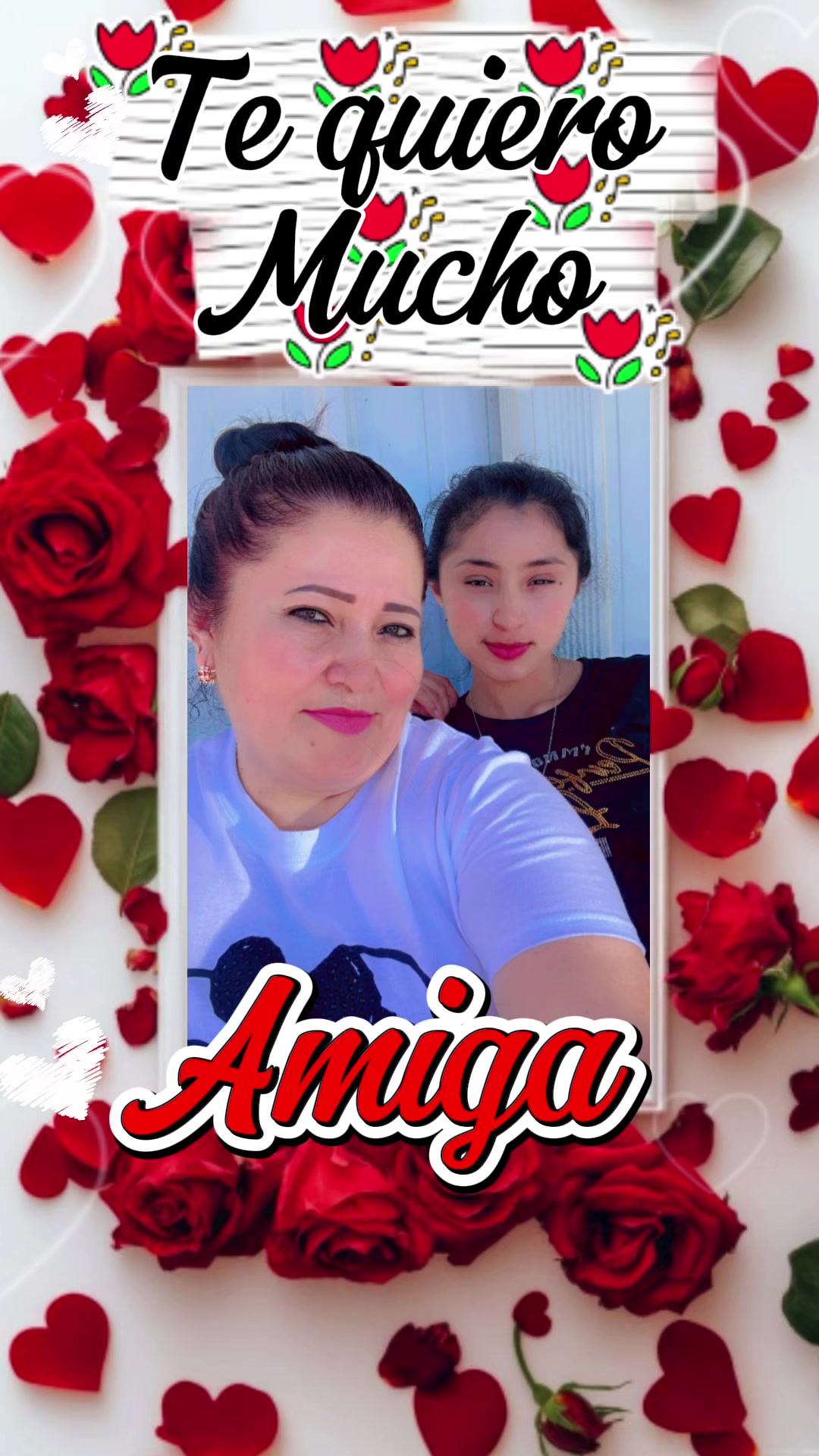 @ercelyrodas1