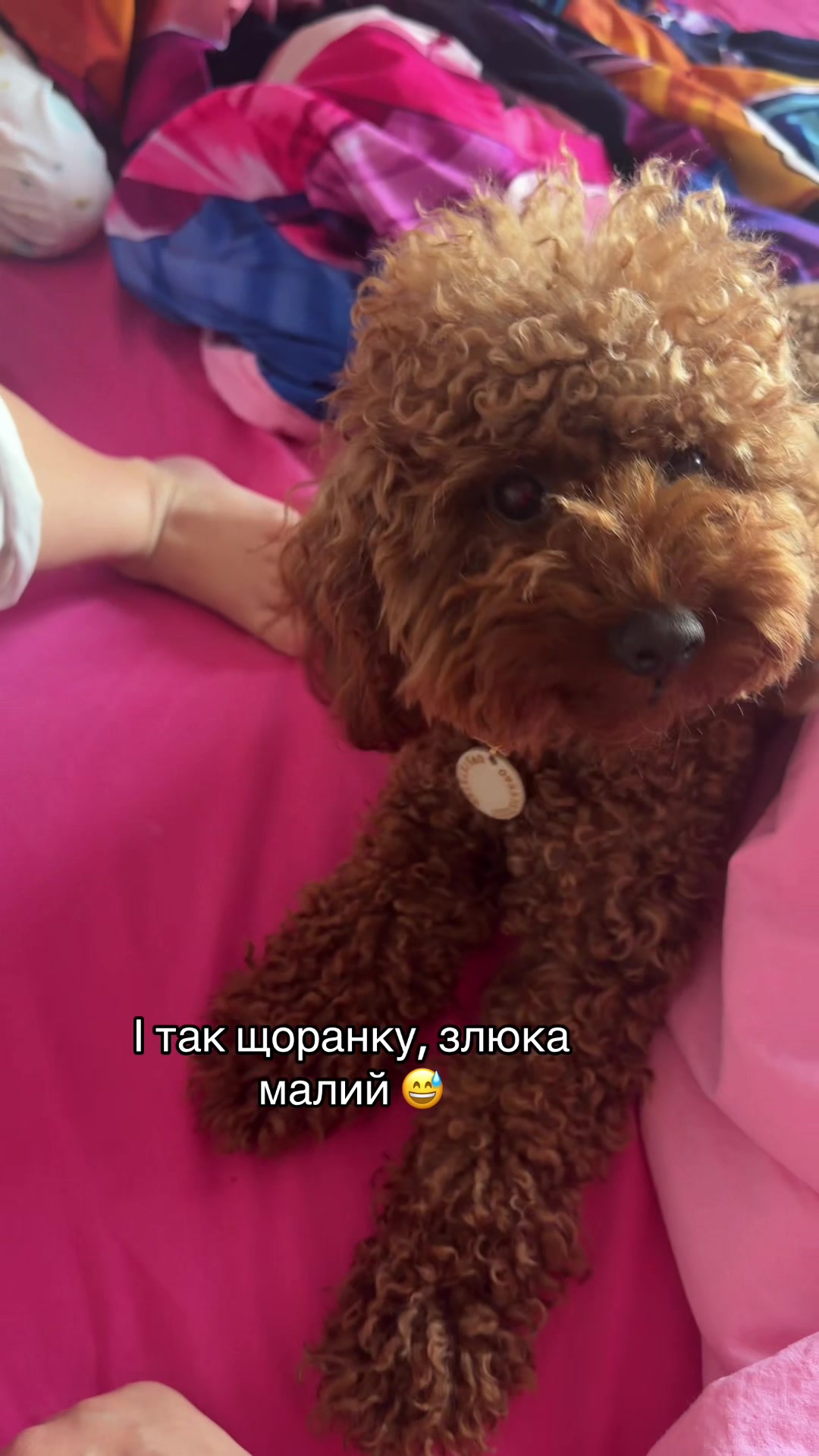 @Ірина Бакалим