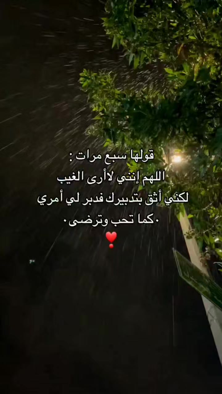 @bosbos dodo❤️