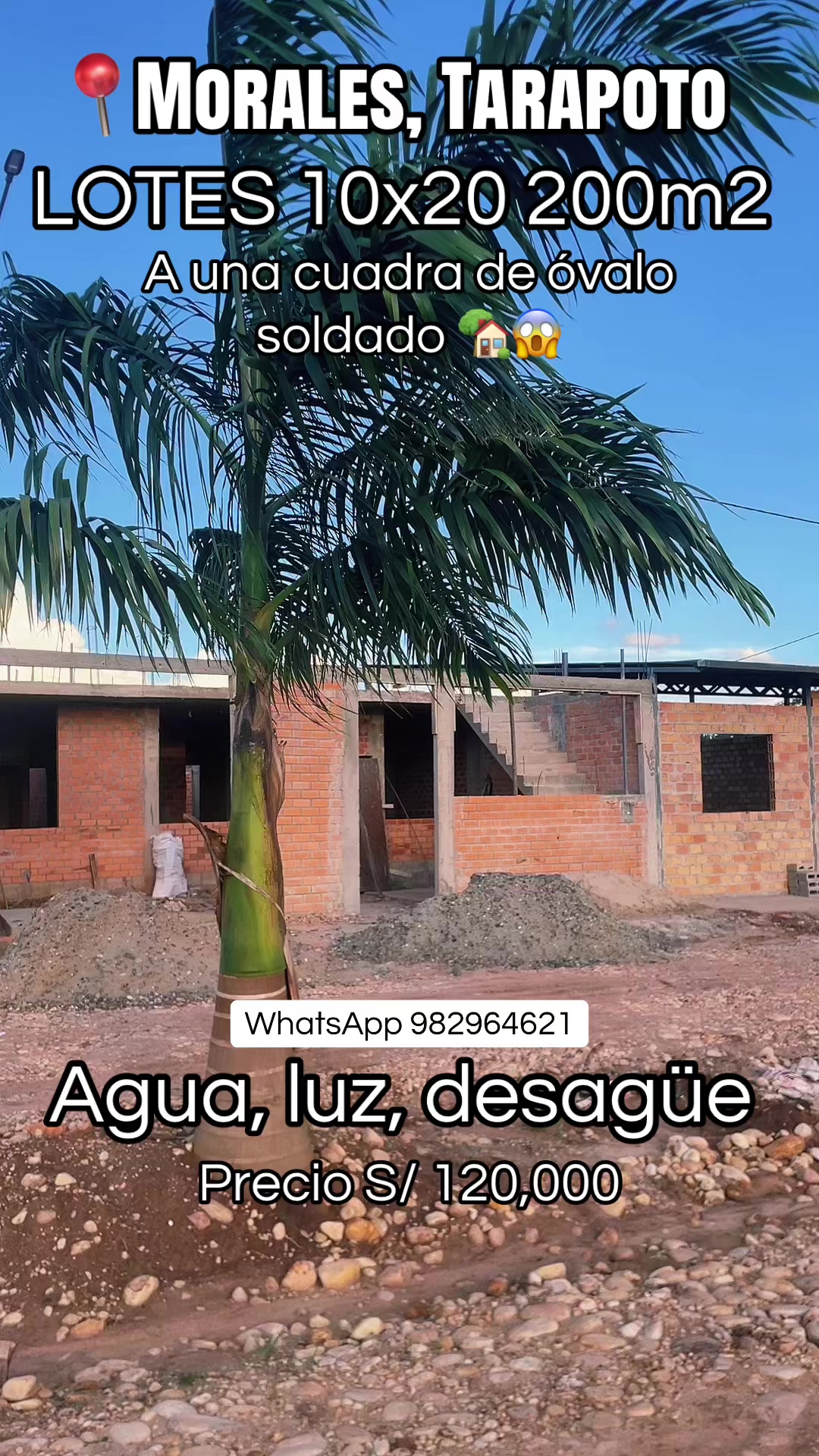 @apartamentcom
