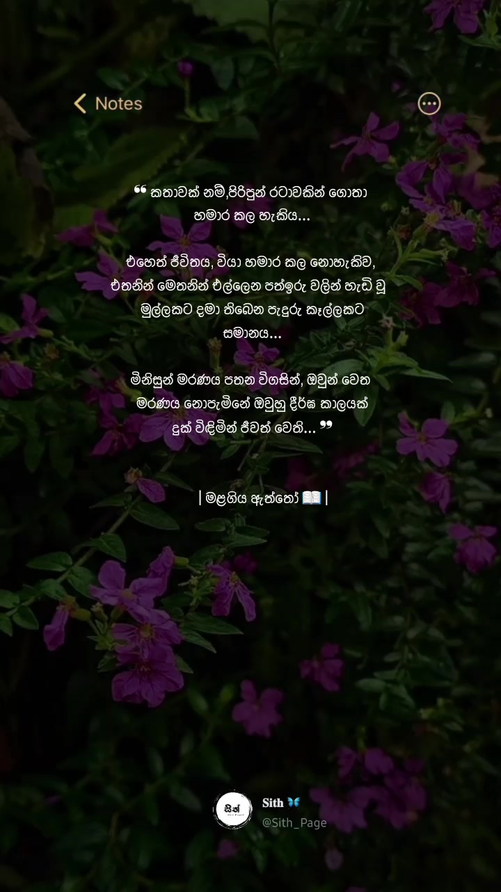 @𝙎 𝙞 𝙏 𝙃 𓏲𝄢