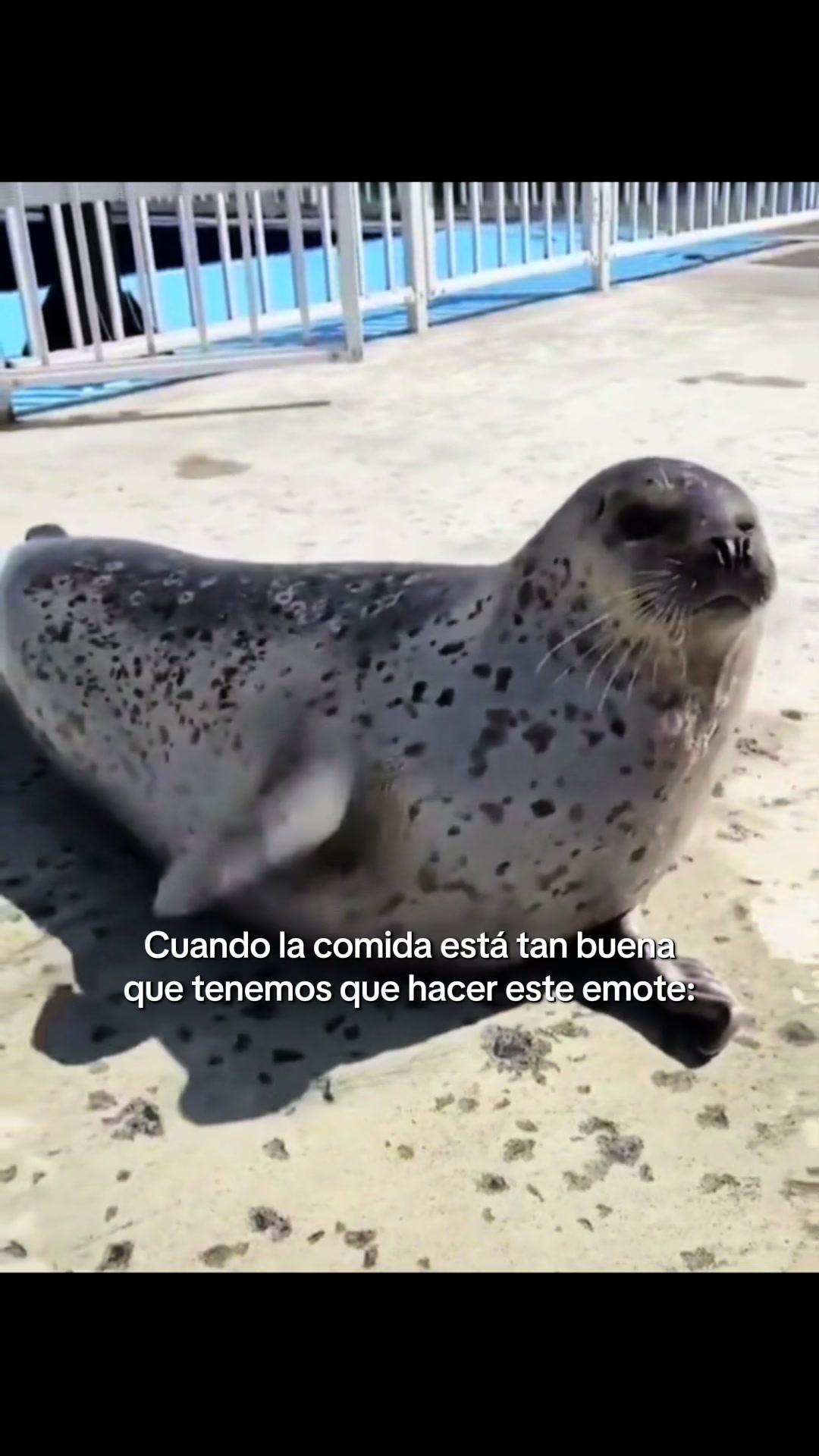 @Astuto Mago