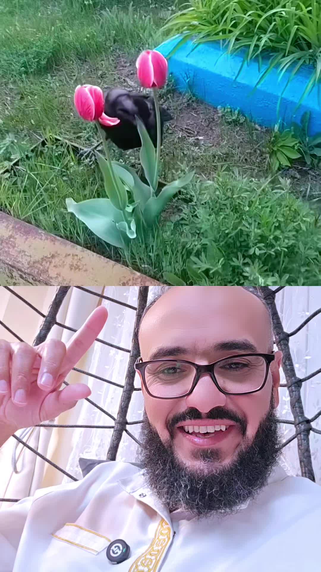 @🌹فن التربية 🌹
