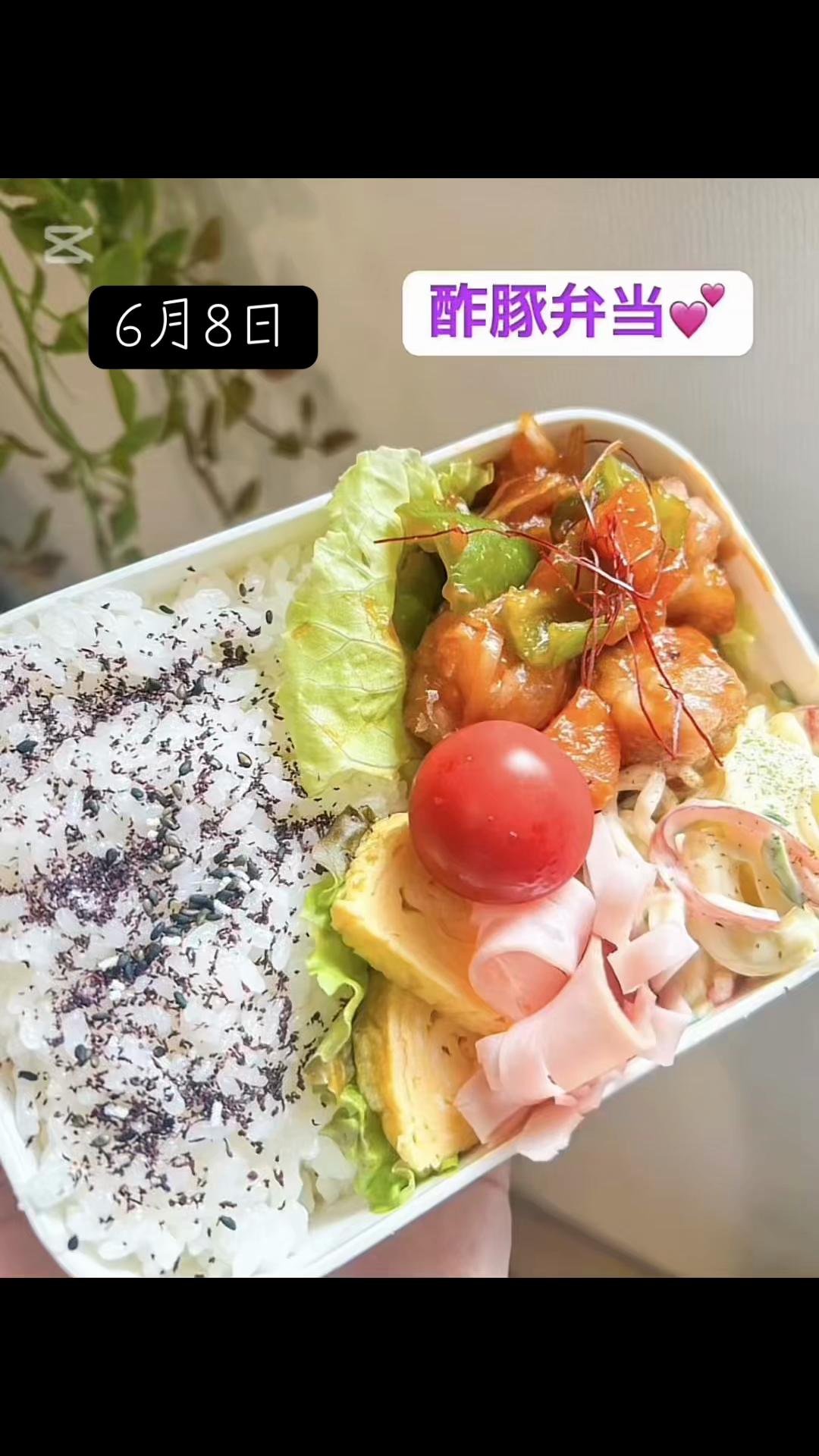 @ใฟใฟ๐ค๐๐ฆ๐จ