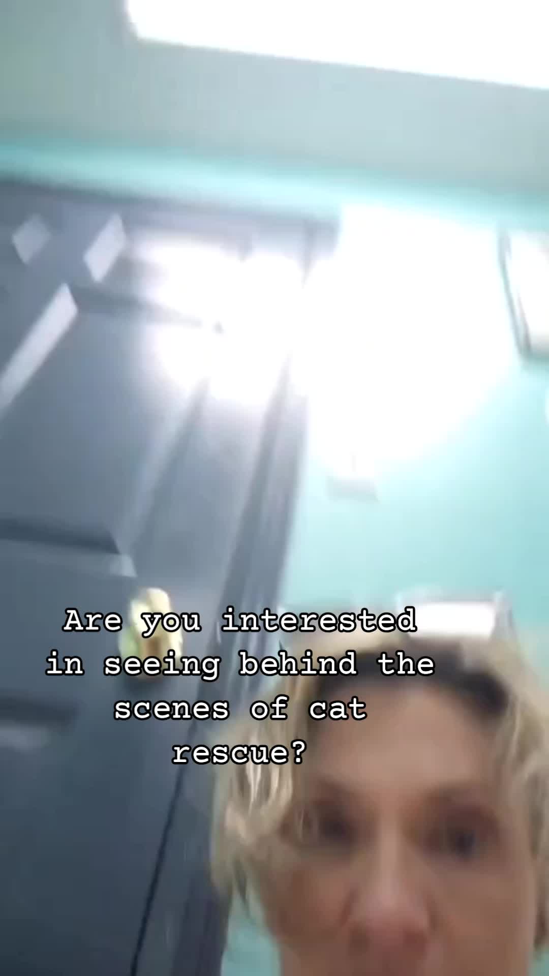 @No More Sad Kitties