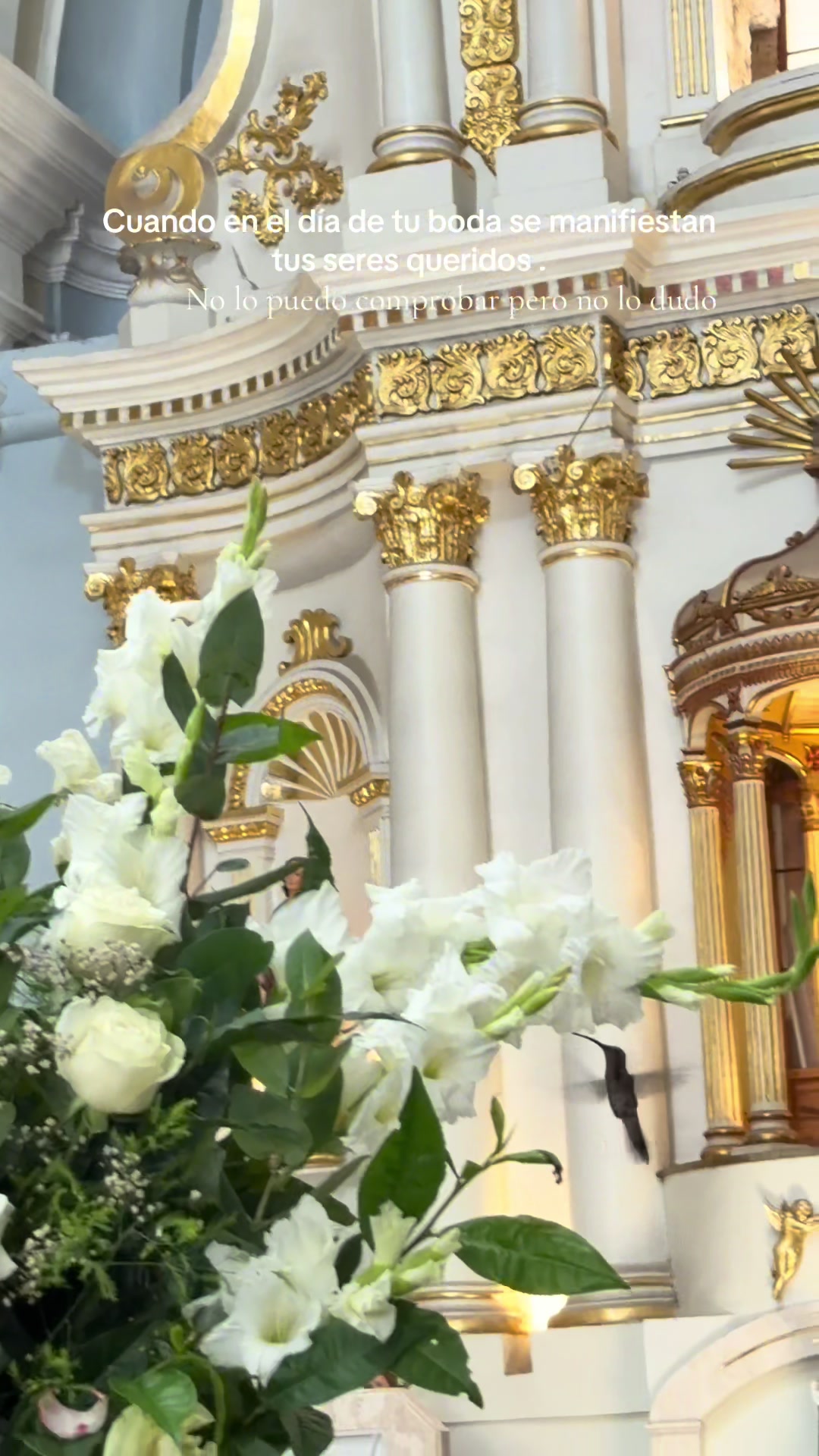 @Mayra Lara Wedding Planner