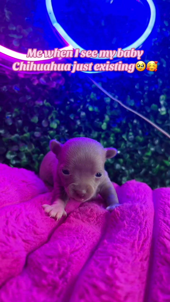 @✨ᘎᥱɾo ᙃᥱᥒɩ⳽ᥱ✨