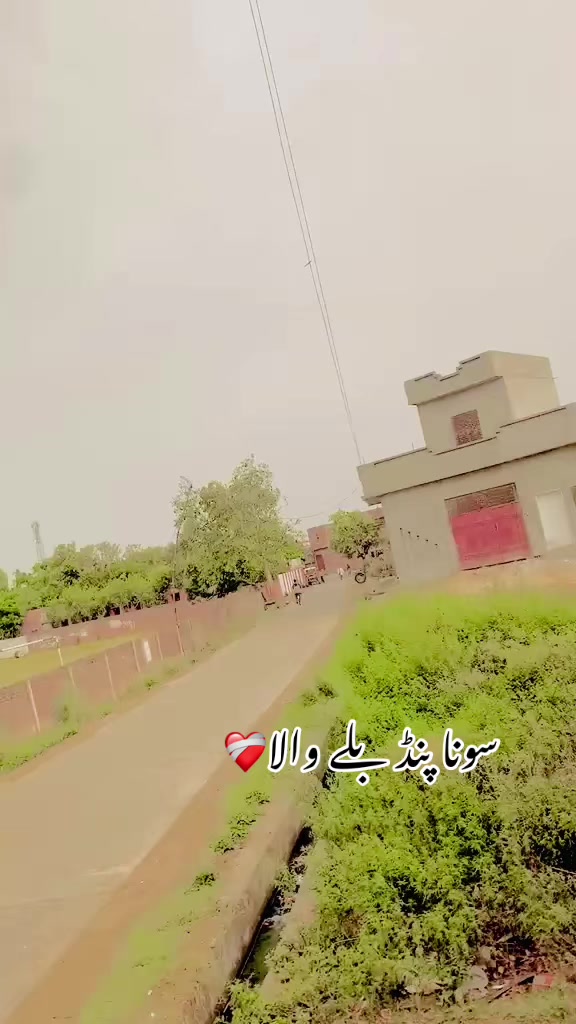 @سونا پنجاب 🌾🍂🥀