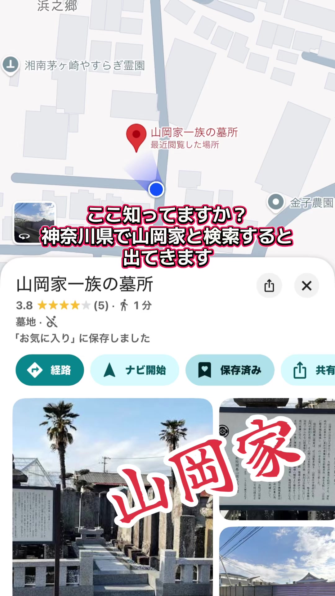 @山岡家全店制覇の旅[完]🍜慎太郎(吉村家が食いたい)