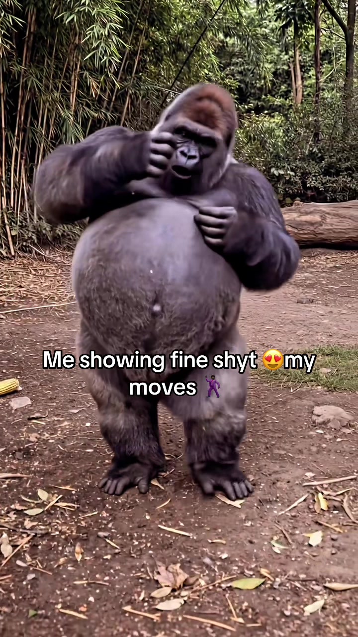 @KillaMoe