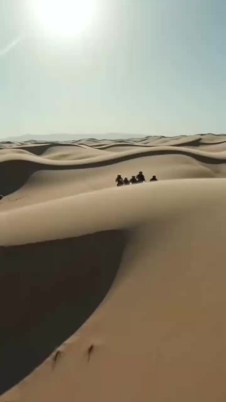 @f_____t0077v8