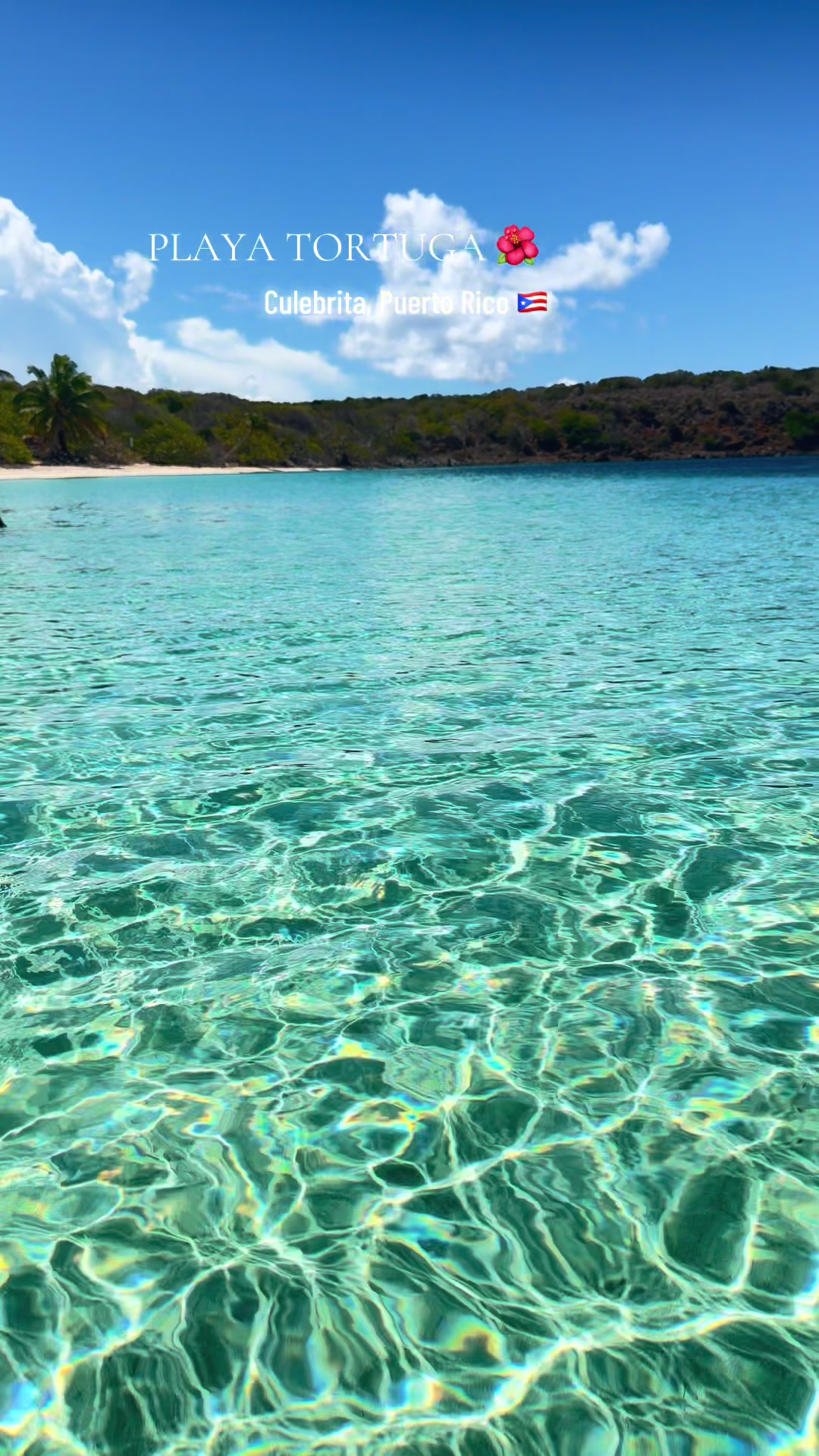 @𝑔𝒾𝑔𝒾@𝓉𝒽ℯ𝒷ℯ𝒶𝒸𝒽🐚
