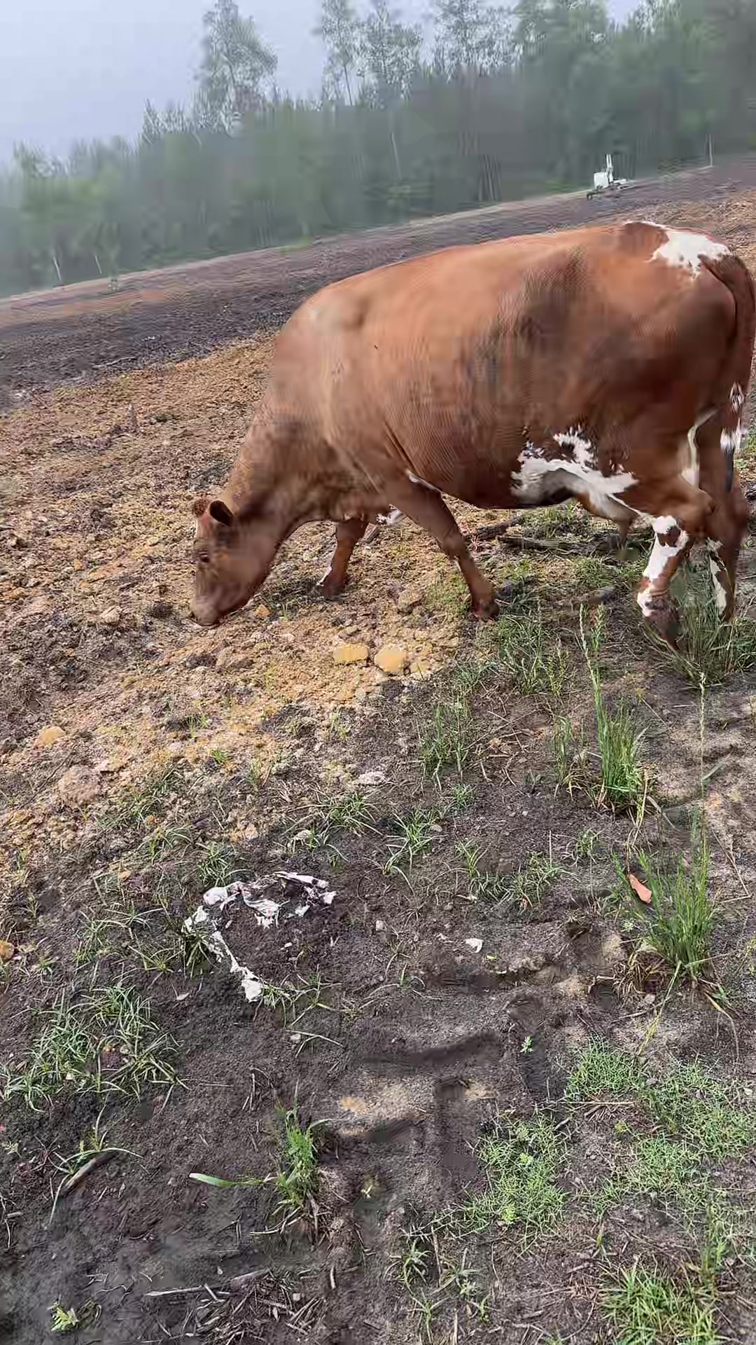 @farmgirl0719