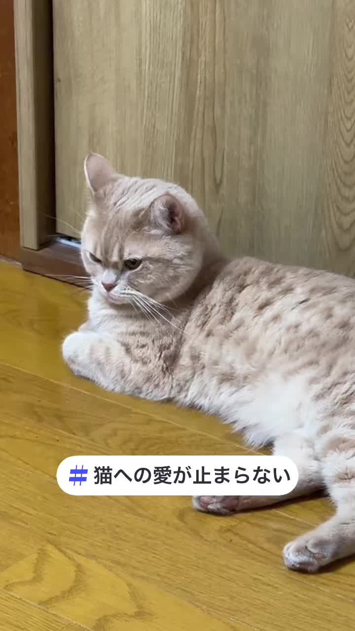 @ð«ð§ããã±ã³ðïžâïžãããµãð§ð«