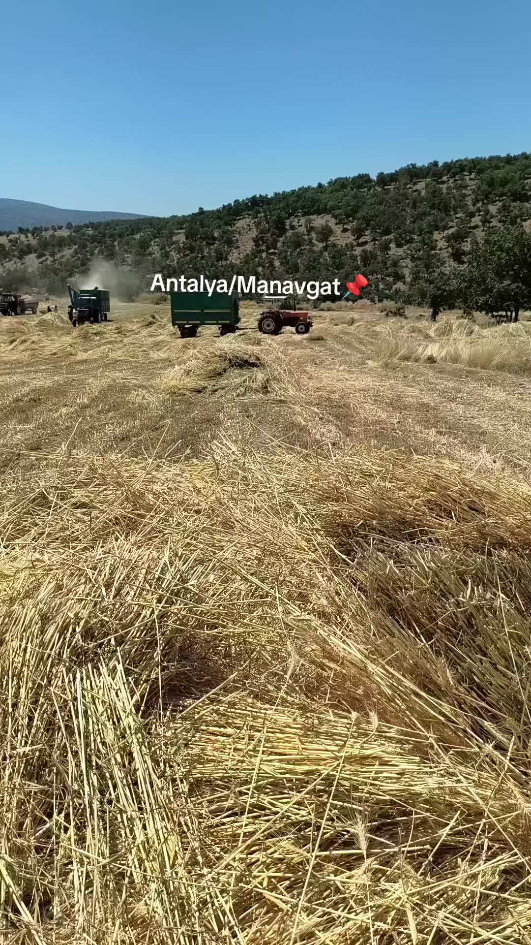 @abdullah42