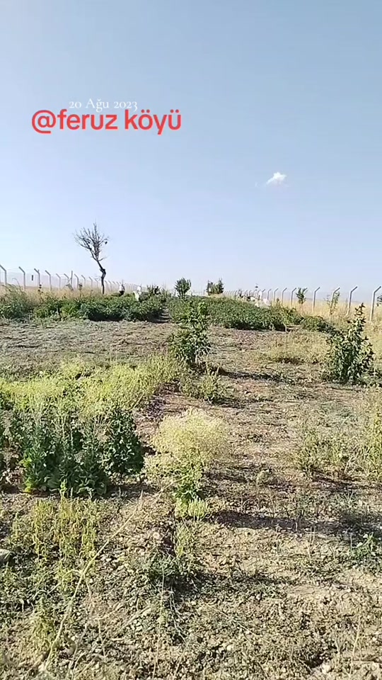 @𝘴ꫀ𝘳𝘬ꪖꪀ Şꪖꫝ𝓲ꪀ