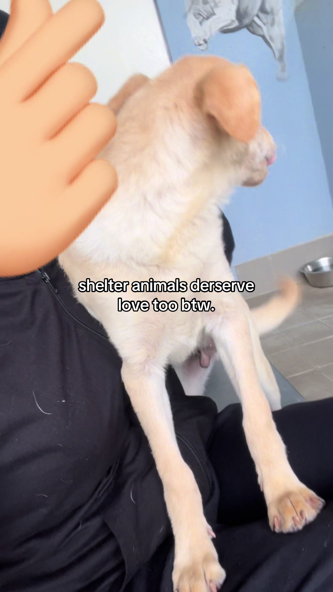 @maybealittebitemo