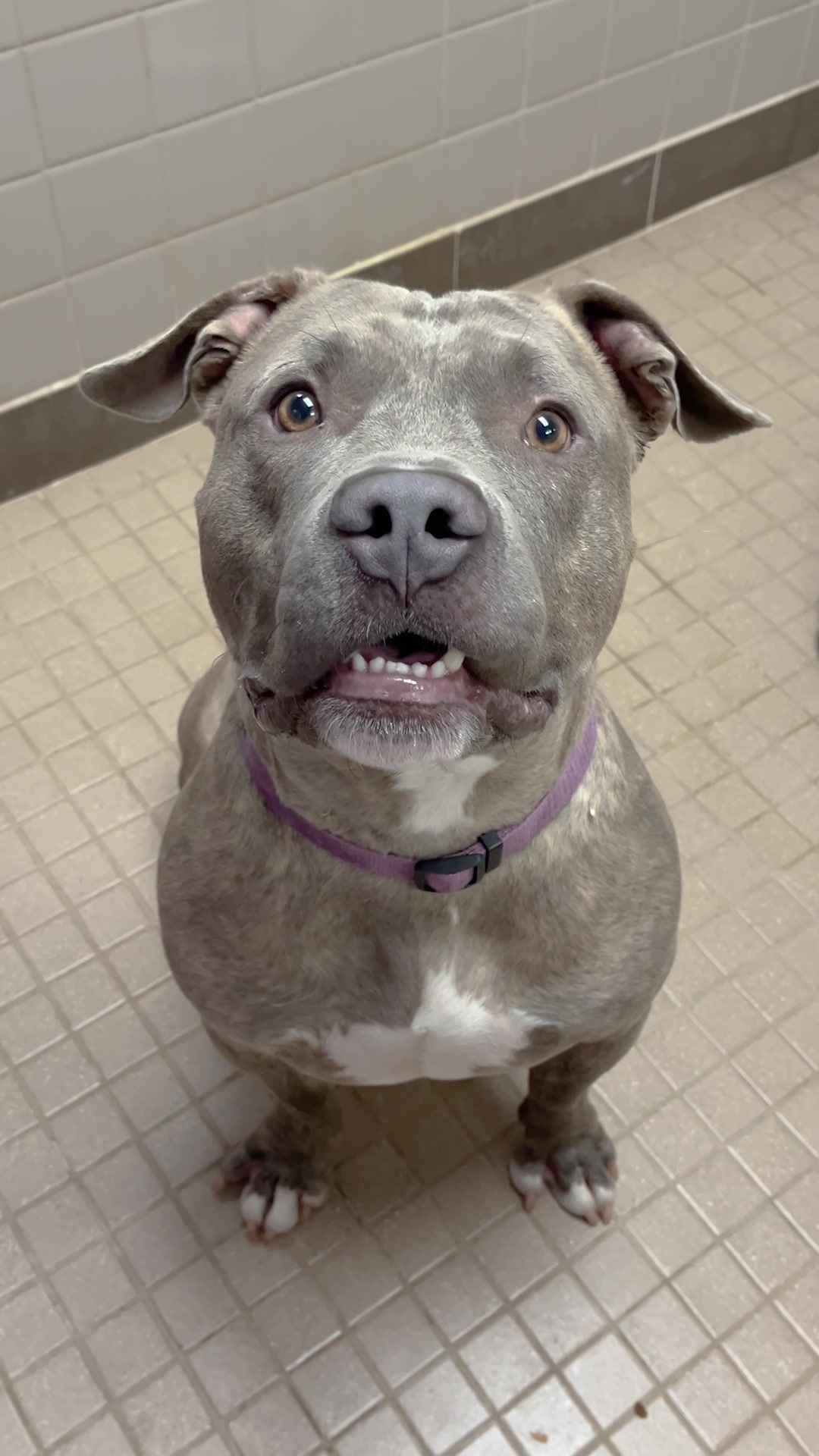 @animalhumanenm