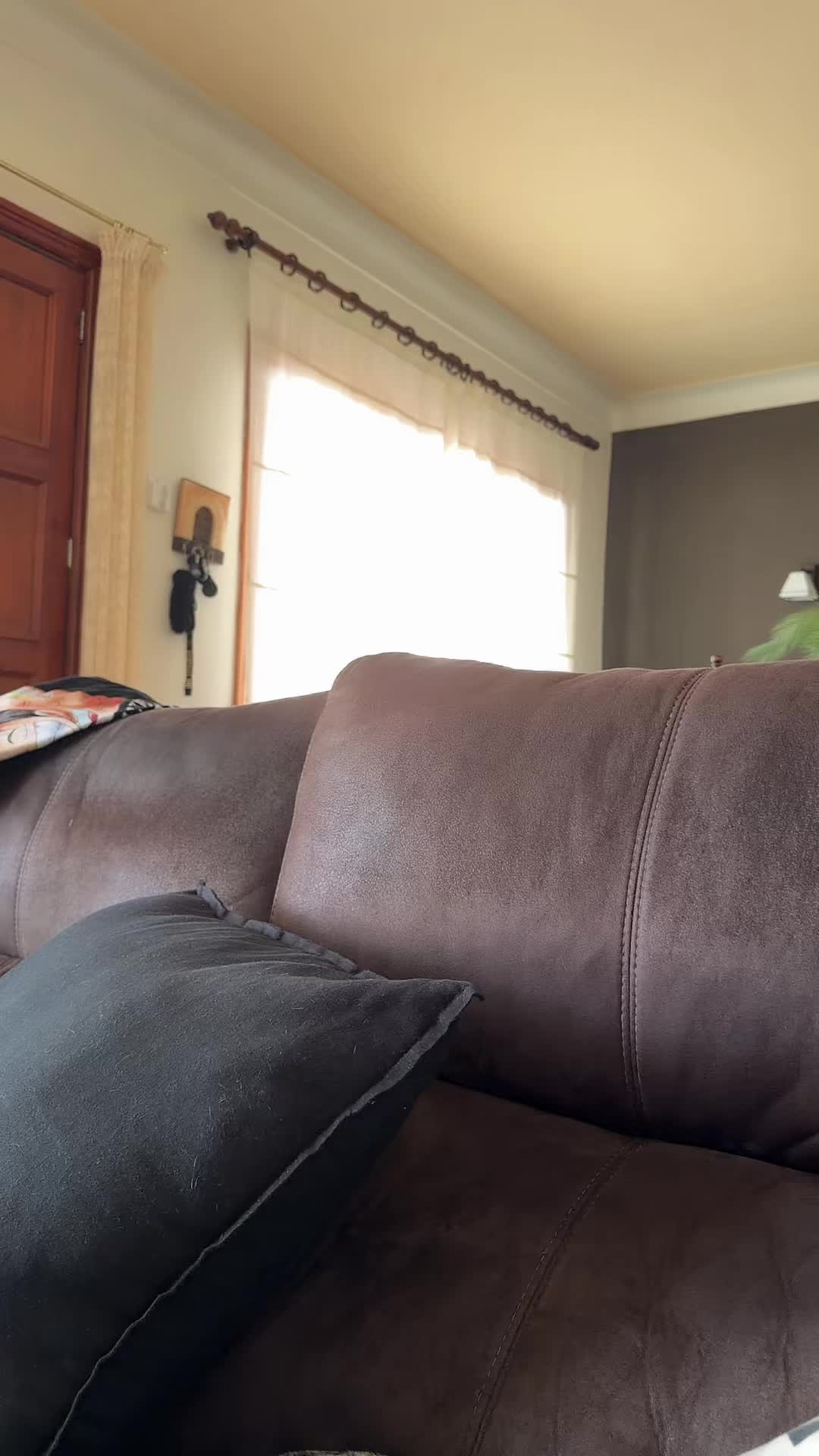 @Rut Aguil&oacute;