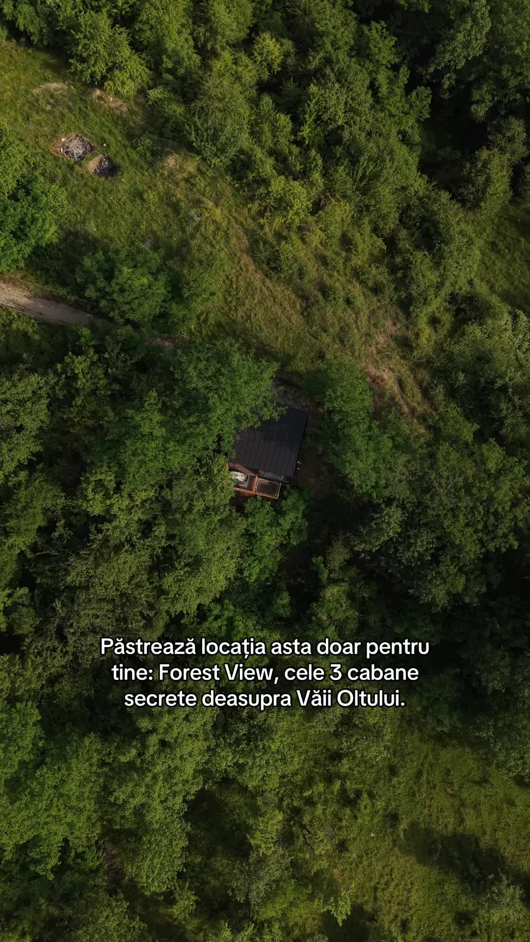 @Forest View Valcea