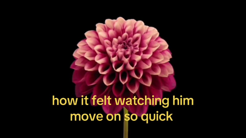 @hfyhgfrty