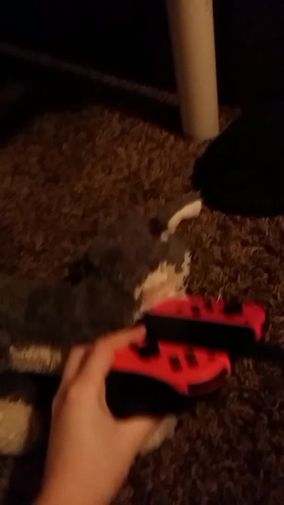 @wolf gamer 2008