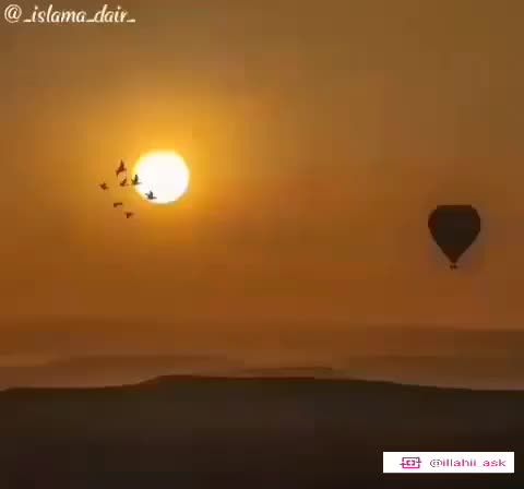 @Muziii 🌸