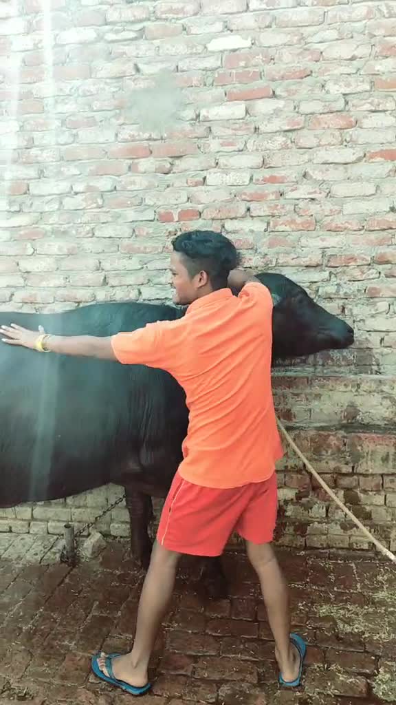 @krishnarajor