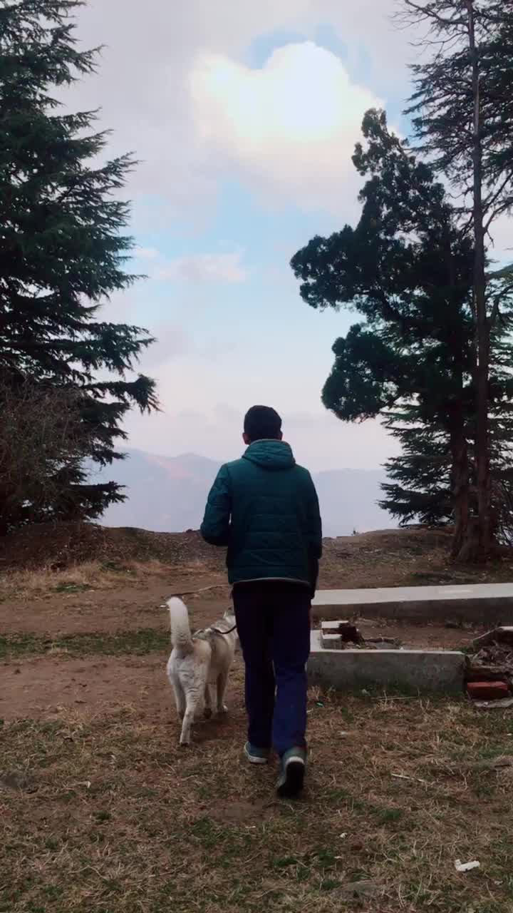 @ankit_thopta
