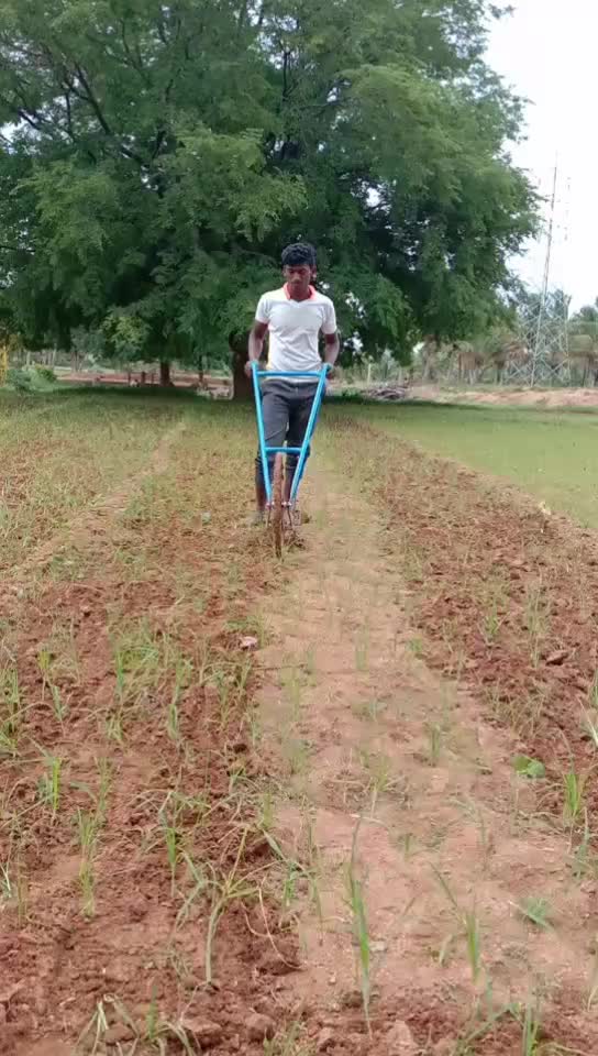 @@Mãñjû