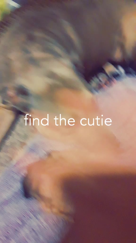 @zero cup