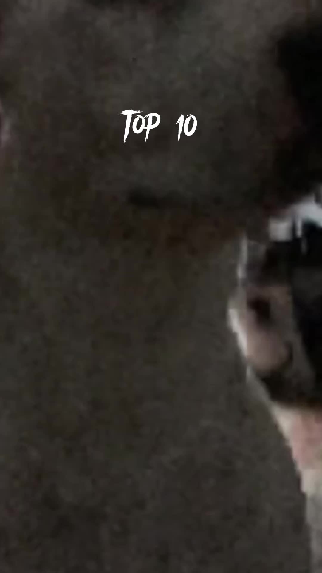 @sup my catiens stay strong