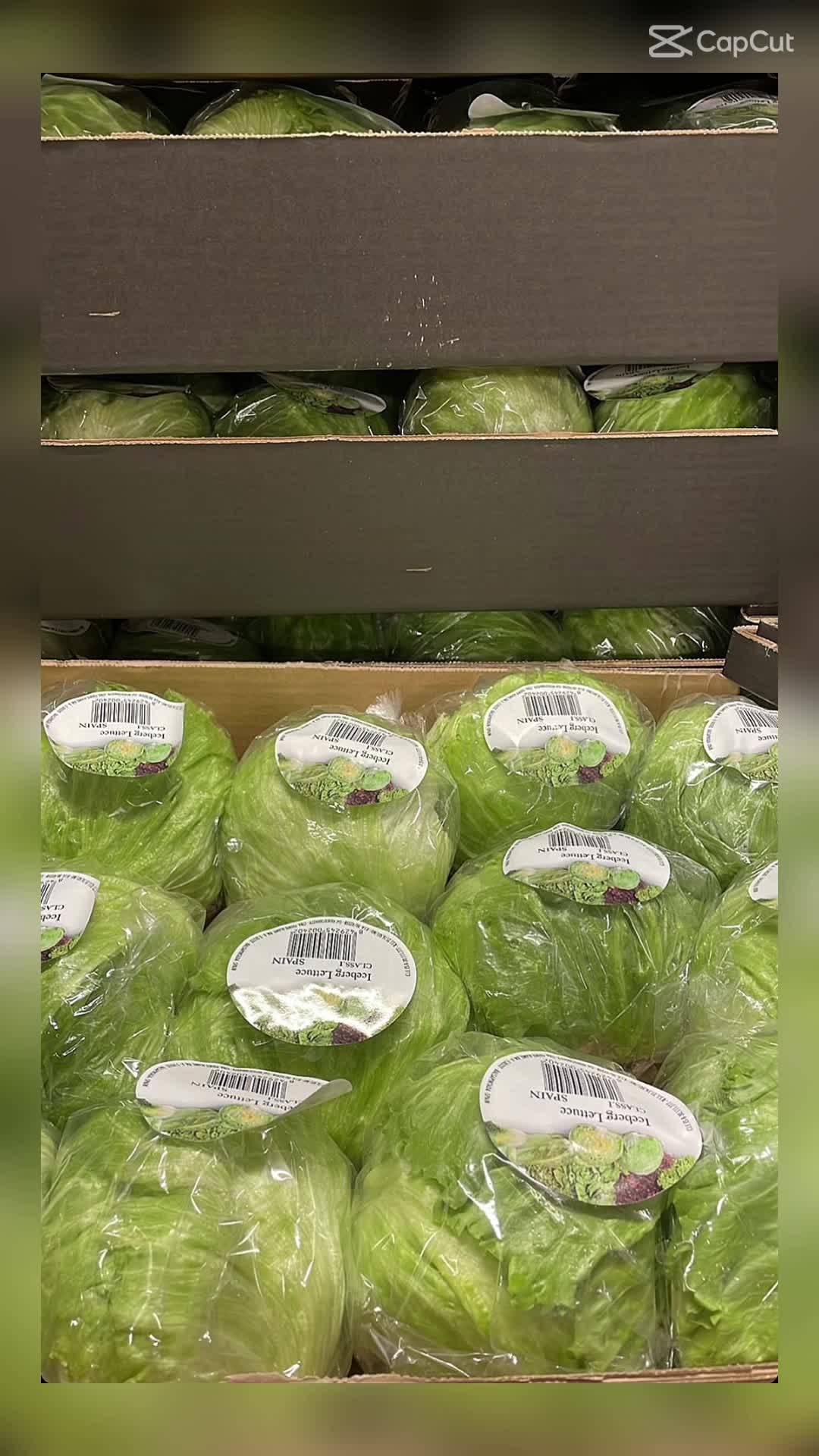 @Mega Grocers