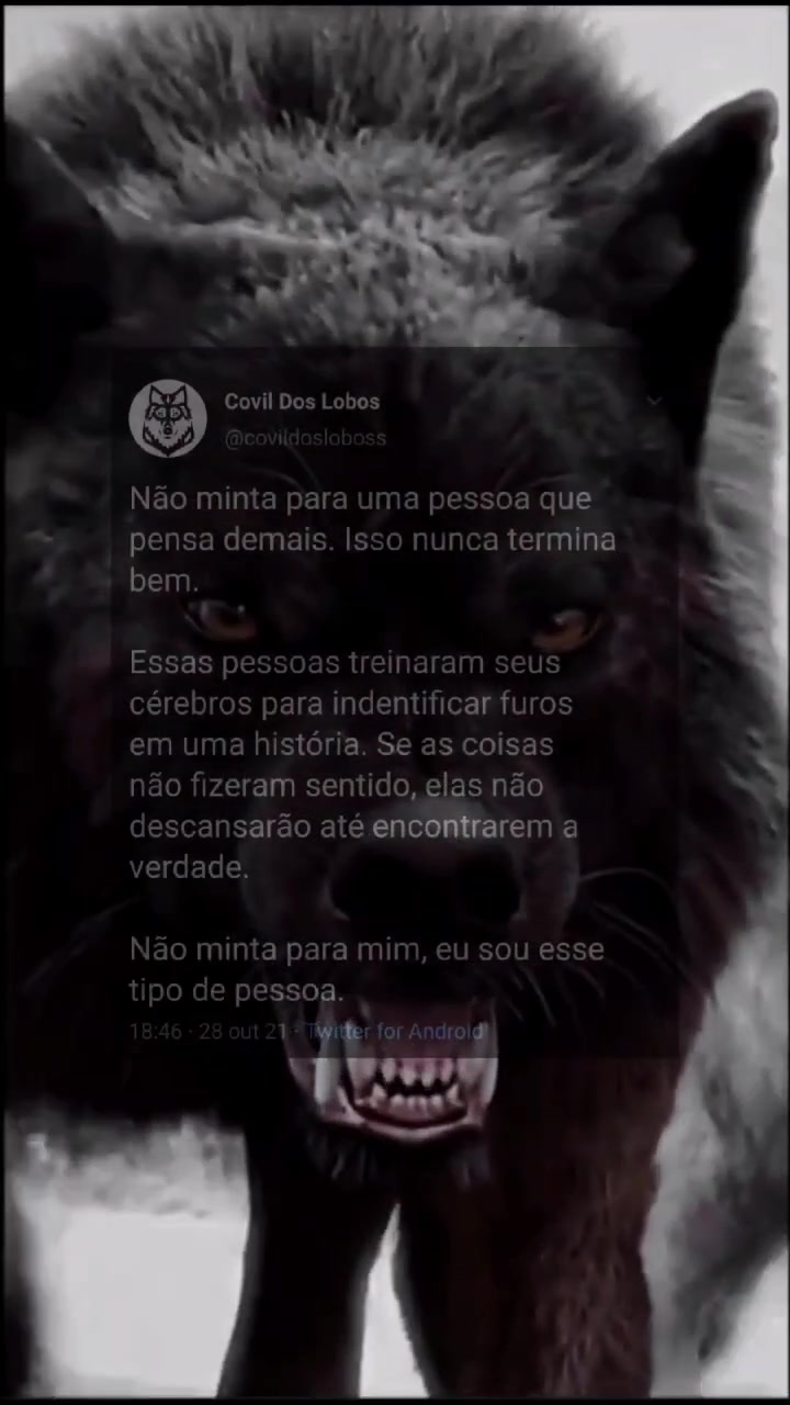 @Covil Dos Lobos
