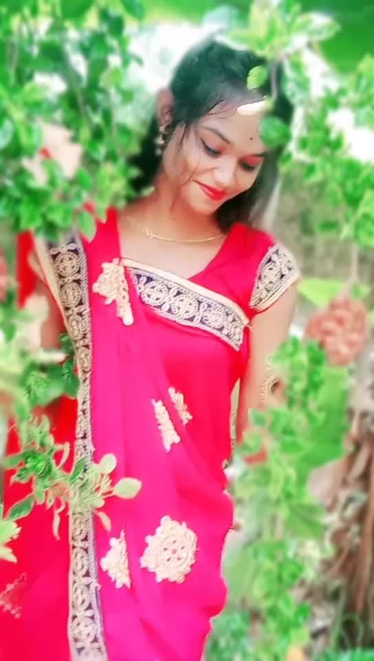 @ani