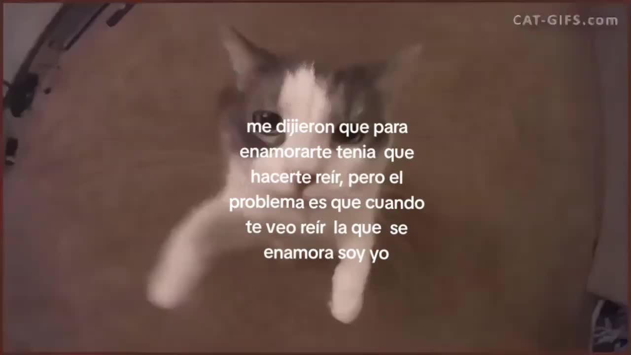@𖤐٭*ᛟᛇᚽᚱᚽᛇ_Ꮤᛟᚳᚫ٭*𖤐