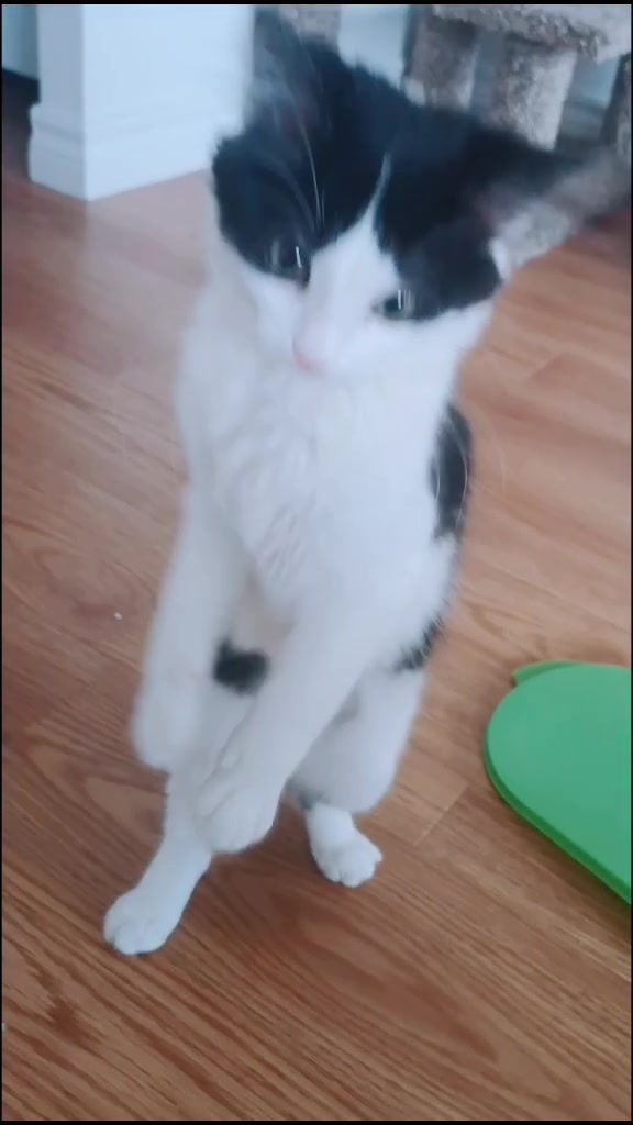 @If I fits I sits