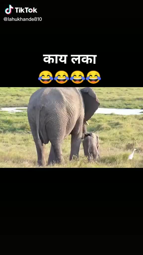 @vaishanvi