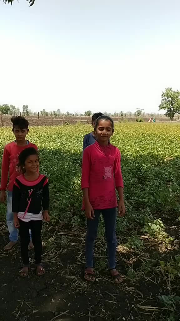 @anil badodiya M.P