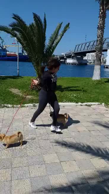 @amona3702